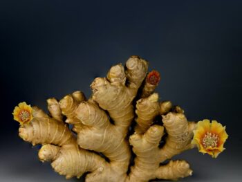 Ginger On Gray Surface